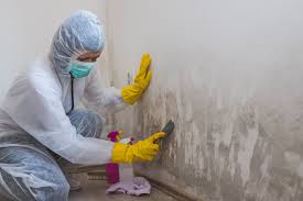 Best Mold Odor Removal Services in Mansfield, PA